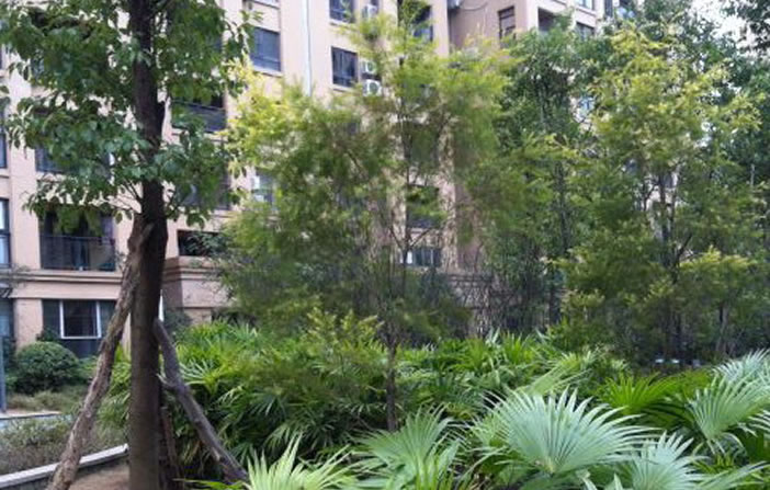 首页|腾博会官网·专业服务诚信为本!