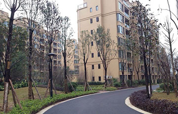 首页|腾博会官网·专业服务诚信为本!